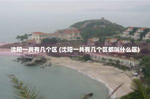 沈阳一共有几个区 (沈阳一共有几个区都叫什么区)