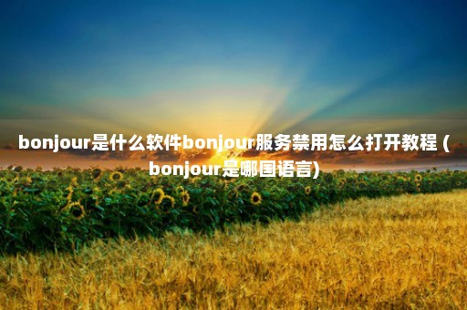 bonjour是什么软件bonjour服务禁用怎么打开教程 (bonjour是哪国语言)