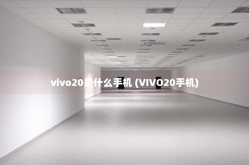 vivo20是什么手机 (VIVO20手机)