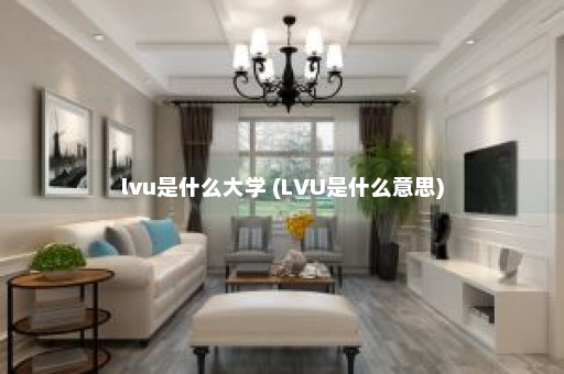 lvu是什么大学 (LVU是什么意思)