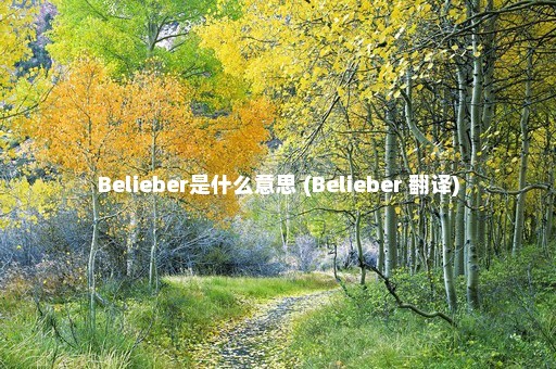 Belieber是什么意思 (Belieber 翻译)