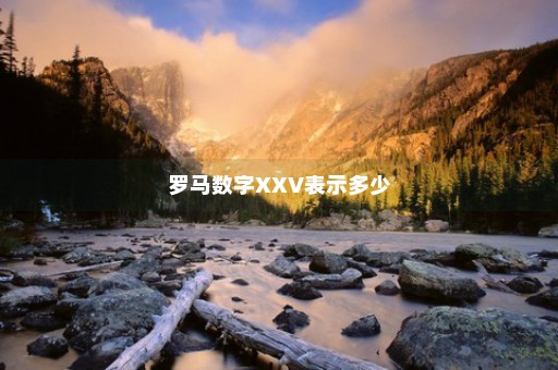 罗马数字XXV表示多少