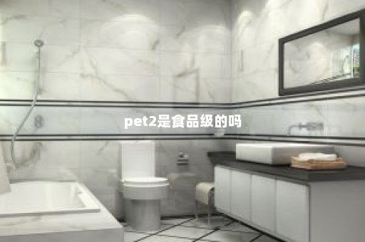 pet2是食品级的吗