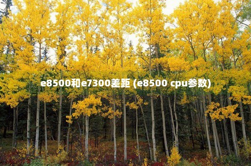 e8500和e7300差距 (e8500 cpu参数)