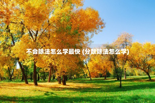 不会除法怎么学最快 (分数除法怎么学)