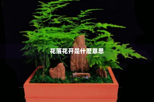 花落花开是什麽意思