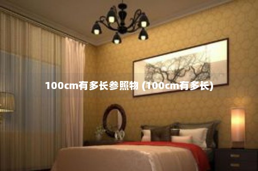 100cm有多长参照物 (100cm有多长)