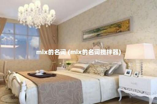 mix的名词 (mix的名词搅拌器)