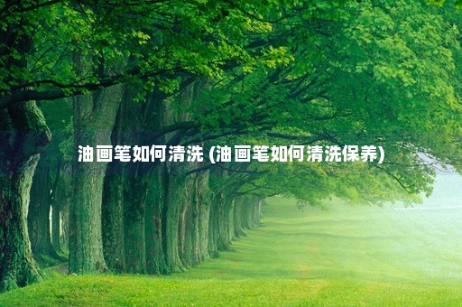 油画笔如何清洗 (油画笔如何清洗保养)