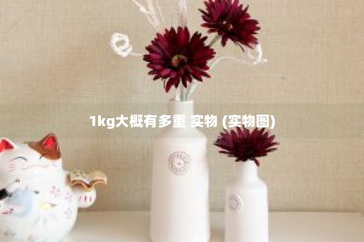 1kg大概有多重 实物 (实物图)