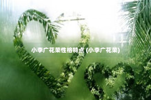 小李广花荣性格特点 (小李广花荣)