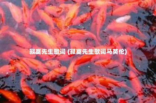 寂寞先生歌词 (寂寞先生歌词马英伦)