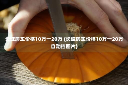 长城房车价格10万一20万 (长城房车价格10万一20万自动挡图片)