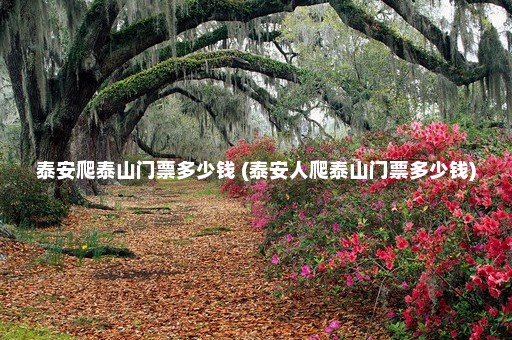 泰安爬泰山门票多少钱 (泰安人爬泰山门票多少钱)