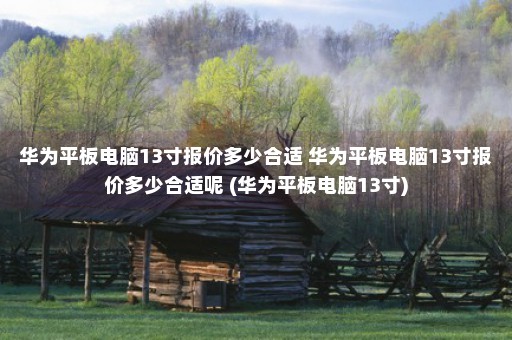 华为平板电脑13寸报价多少合适 华为平板电脑13寸报价多少合适呢 (华为平板电脑13寸)