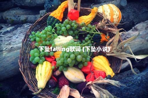 下坠falling歌词 (下坠小说)