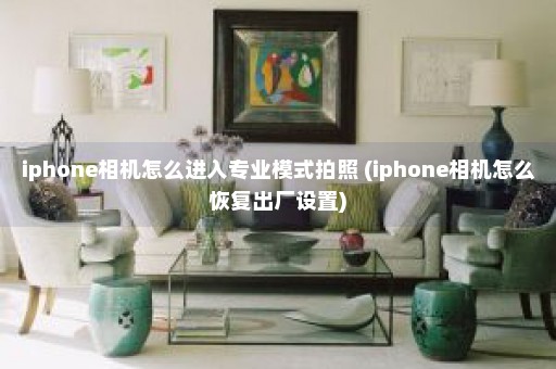 iphone相机怎么进入专业模式拍照 (iphone相机怎么恢复出厂设置)