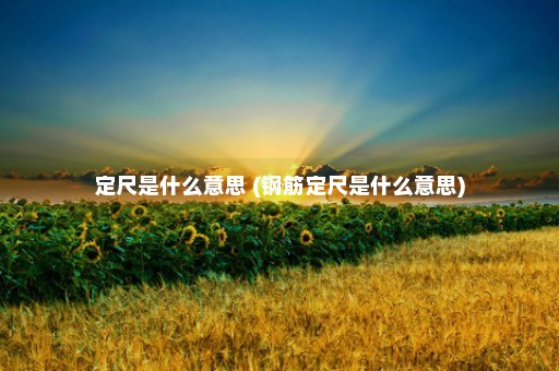 定尺是什么意思 (钢筋定尺是什么意思)