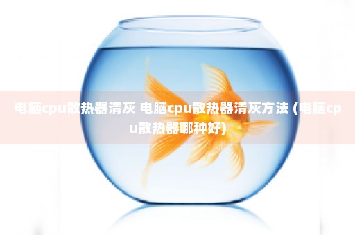 电脑cpu散热器清灰 电脑cpu散热器清灰方法 (电脑cpu散热器哪种好)