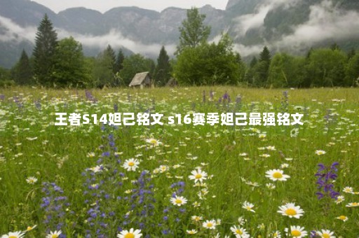 王者S14妲己铭文 s16赛季妲己最强铭文