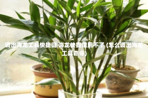 调出海龙工具快捷键 海龙快捷键用不了 (怎么调出海龙工具命令)