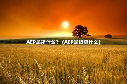 AEP是指什么？ (AEP是检查什么)