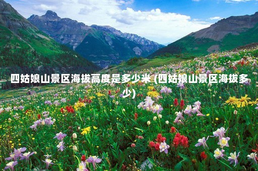 四姑娘山景区海拔高度是多少米 (四姑娘山景区海拔多少)