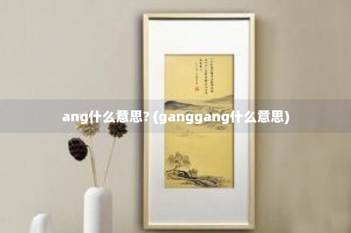 ang什么意思? (ganggang什么意思)