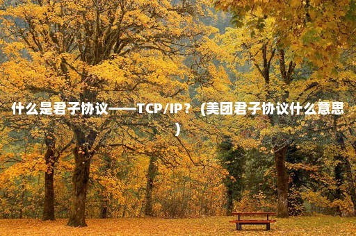 什么是君子协议——TCP/IP？ (美团君子协议什么意思)