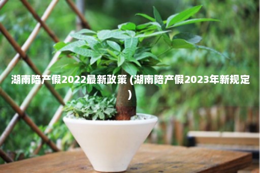 湖南陪产假2022最新政策 (湖南陪产假2023年新规定)