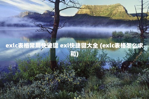 exlc表格常用快捷键 exl快捷键大全 (exlc表格怎么求和)