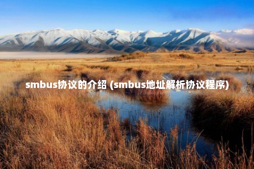 smbus协议的介绍 (smbus地址解析协议程序)