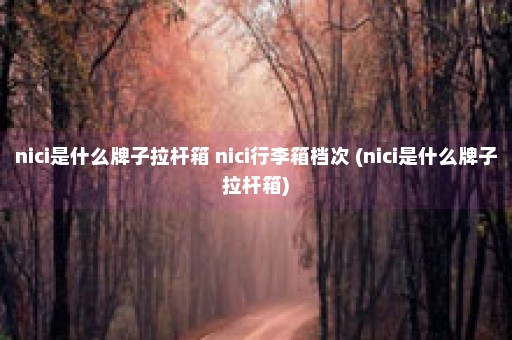 nici是什么牌子拉杆箱 nici行李箱档次 (nici是什么牌子拉杆箱)