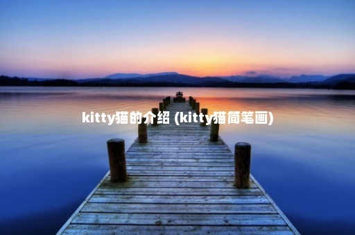 kitty猫的介绍 (kitty猫简笔画)