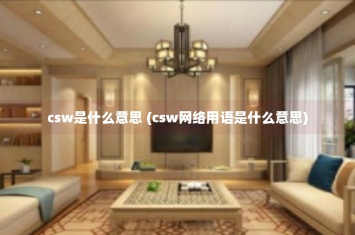 csw是什么意思 (csw网络用语是什么意思)