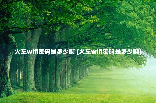 火车wifi密码是多少啊 (火车wifi密码是多少啊)