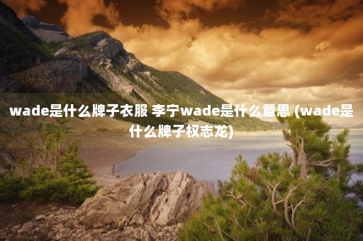 wade是什么牌子衣服 李宁wade是什么意思 (wade是什么牌子权志龙)