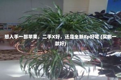 想入手一部苹果，二手X好，还是全新8p好呢 (买哪一款好)