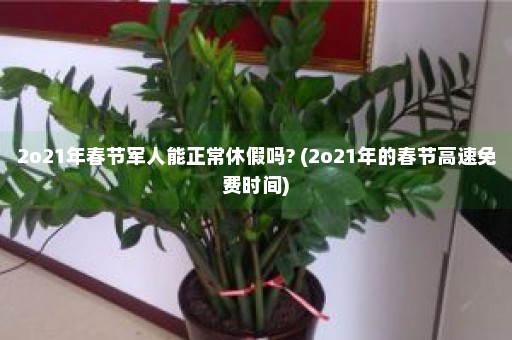 2o21年春节军人能正常休假吗? (2o21年的春节高速免费时间)