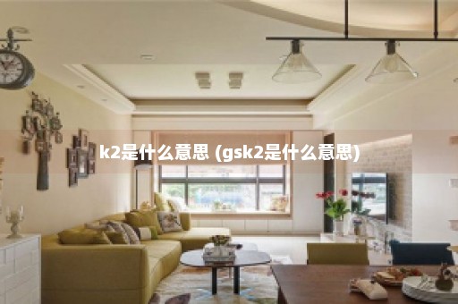 k2是什么意思 (gsk2是什么意思)