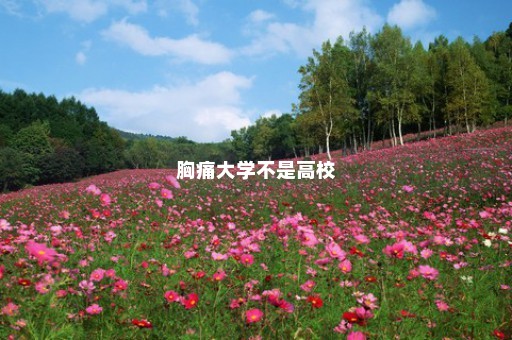 胸痛大学不是高校