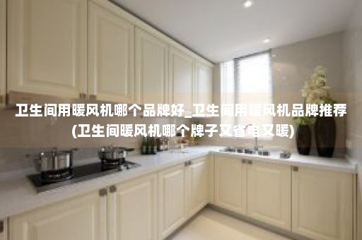 卫生间用暖风机哪个品牌好_卫生间用暖风机品牌推荐 (卫生间暖风机哪个牌子又省电又暖)