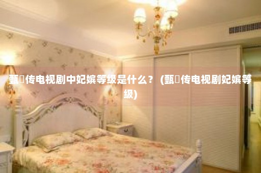 甄嬛传电视剧中妃嫔等级是什么？ (甄嬛传电视剧妃嫔等级)