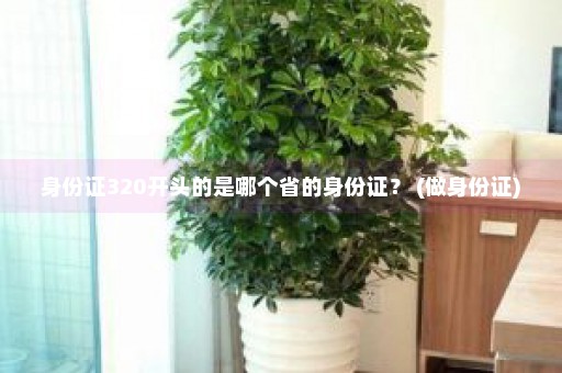 身份证320开头的是哪个省的身份证？ (做身份证)