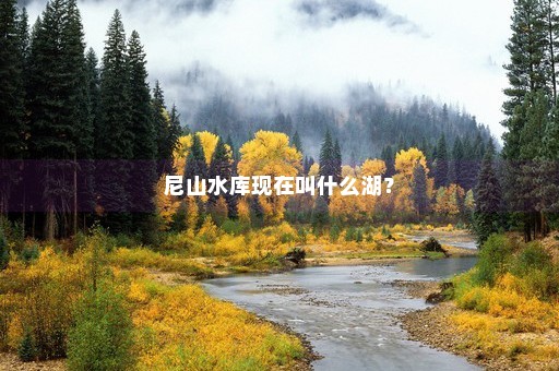 尼山水库现在叫什么湖？