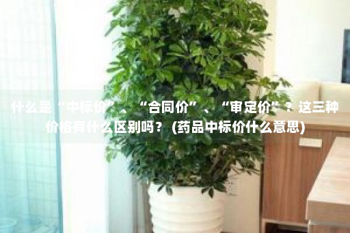 什么是“中标价”、“合同价”、“审定价”？这三种价格有什么区别吗？ (药品中标价什么意思)