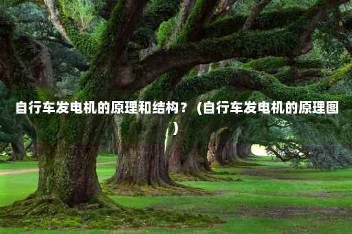 自行车发电机的原理和结构？ (自行车发电机的原理图)