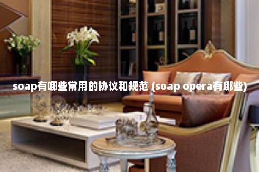 soap有哪些常用的协议和规范 (soap opera有哪些)