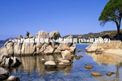 she的成员都是谁 she里的成员 (She成员名字)