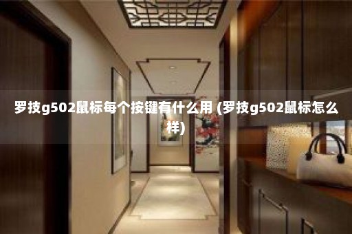 罗技g502鼠标每个按键有什么用 (罗技g502鼠标怎么样)